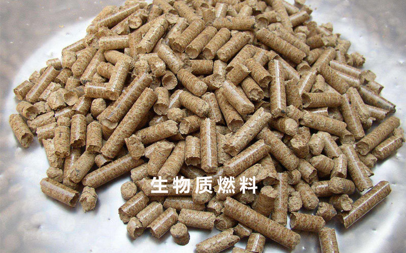 生物質(zhì)燃料